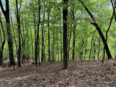 View of woods