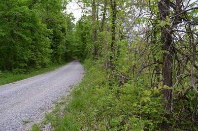 2100 Brewers Mill Rd, Harrodsburg, KY 40330 - photo 5