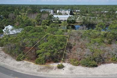 305 Royal Tern Way, Carrabelle, FL 32322 - photo 3