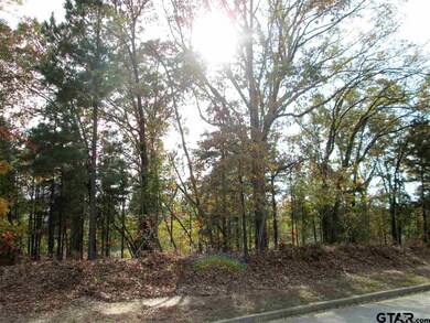 2085 Equestrian Ln, Tyler, TX 75703 - photo 3