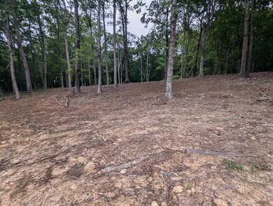 Q Jaber Rd, Clarksville, VA 23927 - photo 6