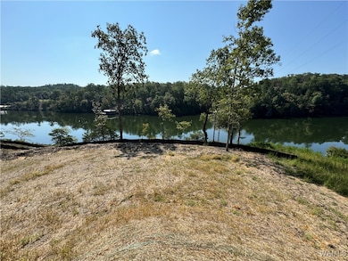 View from Land