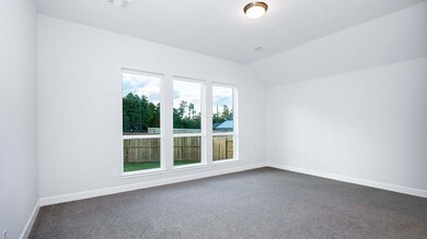 42227 Cubierto Trace, Magnolia, TX 77354 - photo 5