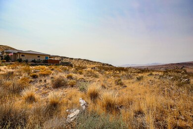 IMG_7394