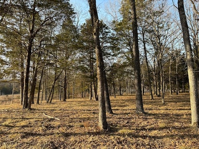 3855 Fall Creek Rd, Branson, MO 65616 - photo 6