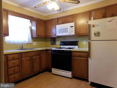 403 Werner Ave, Glenolden, PA 19036 - photo 6