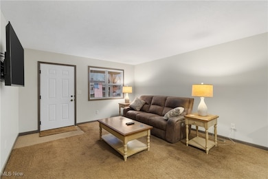 53 Thonen St, Rittman, OH 44270 - photo 7