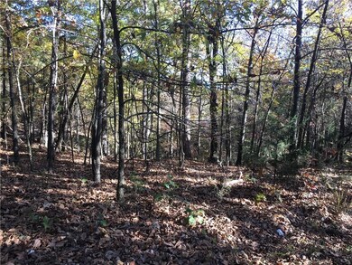 23.92Acres Shockley Place Rd, Rogers, AR 72756 - photo 4