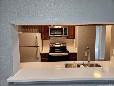 14343 Judson Rd unit 1106, San Antonio, TX 78233 - photo 7