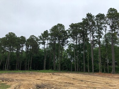 0 Ashworth St unit 17016483, Houston, TX 77016 - photo 3