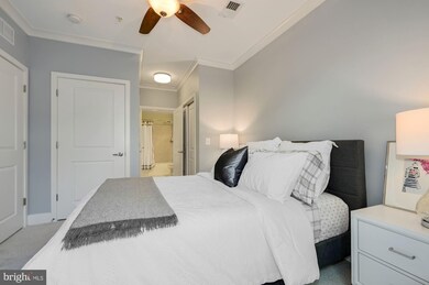 815 N Patrick St unit 210, Alexandria, VA 22314 - photo 4