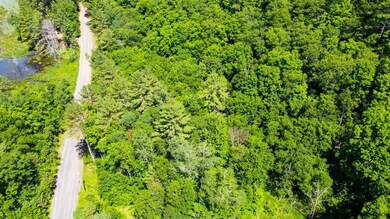 00 Austin Pond Rd, Johnsburg, NY 12853 - photo 3