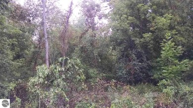 0 N Van Horn Rd, Au Gres, MI 48703 - photo 5