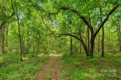 mature woods throughout