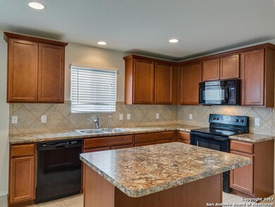 11703 Wildcat Cove, San Antonio, TX 78254 - photo 6