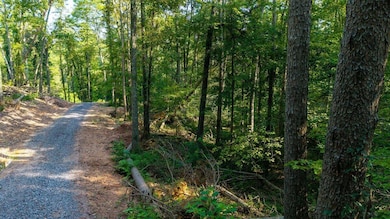 0 Old Lower River Rd NW unit 20253533, Charleston, TN 37310 - photo 6