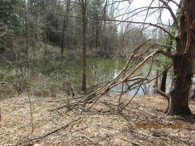 Pond also