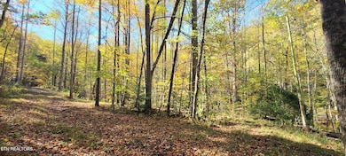 PAR 033.01 S Highway 32, Cosby, TN 37722 - photo 7