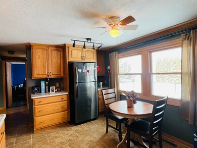 312 W Garfield St, Pearl City, IL 61062 - photo 7