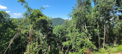 36 Destination Dr, Waynesville, NC 28786 - photo 4