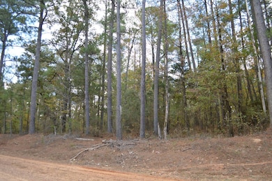 0 Conner Rd, Kosciusko, MS 39090 - photo 2