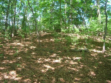 0 Greenville Ave, Smithfield, RI 02828 - photo 3