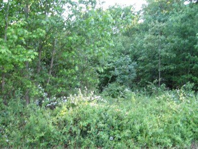 170 Oak Creek Rd unit 449, Statesville, NC 28625 - photo 7