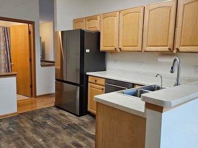 21320 W Douglas Ln, Plainfield, IL 60544 - photo 6