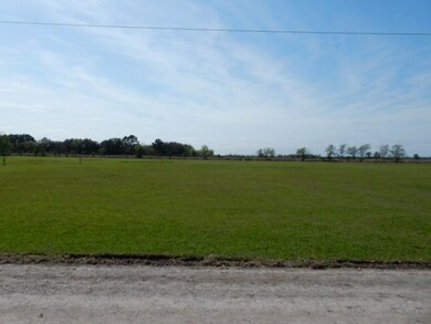 0 Langham Rd, Bay City, TX 77414 - photo 2