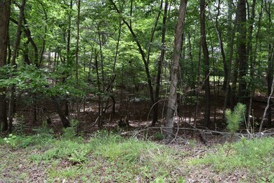 L2021+22 Garnet Dr, Ellijay, GA 30540 - photo 3