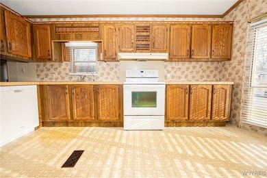 17 Rippleway Dr, Hamburg, NY 14075 - photo 6