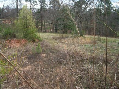 Excavated basement from previous house (apx. 1500 sq ft) that was razed.
