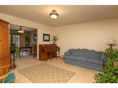 710 2nd Ave SE Hayfield MN-large-007-007-Living Ro