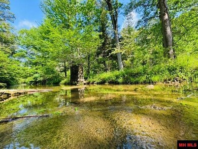 001-01112-000 Cr 127, Calico Rock, AR 72519 - photo 6