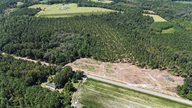 Aerial view of property's location featuring a forest