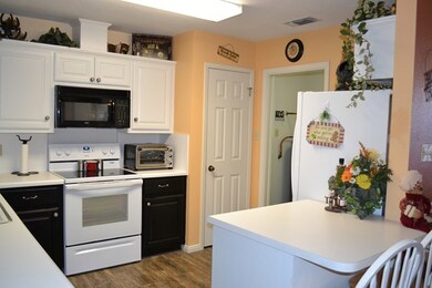 107 W Grothe St, Fredericksburg, TX 78624 - photo 7