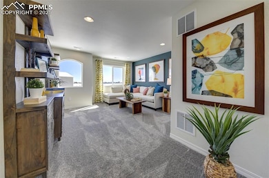 8250 Henzlee Place, Falcon, CO 80831 - photo 6