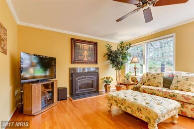 12004 Yellowbell Ln, Columbia, MD 21044 - photo 2