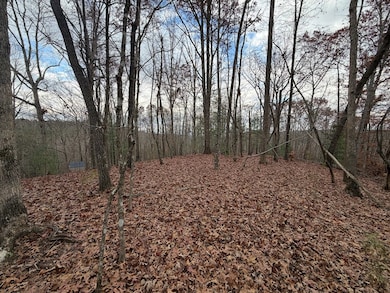 454R Joliet Dr, Ellijay, GA 30540 - photo 4