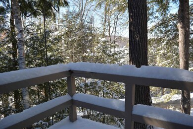 52 Black Duck Spur, Grantham, NH 03753 - photo 3