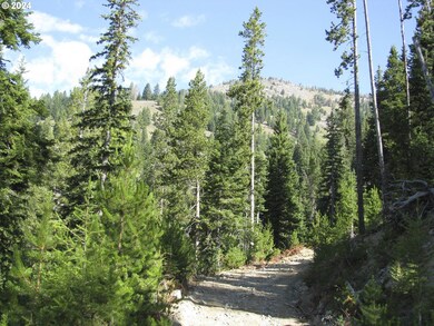 0 unit 24358834, Sumpter, OR 97877 - photo 3