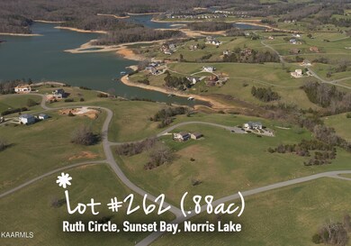 L262 Ruth Cr, Sunset Bay, Norris Lake