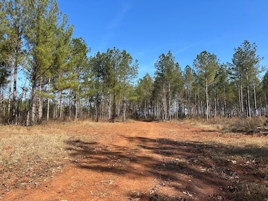 Ga Hwy 142, Shady Dale, GA 31064 - photo 6