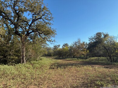 295 Batey Rd, Seguin, TX 78155 - photo 4