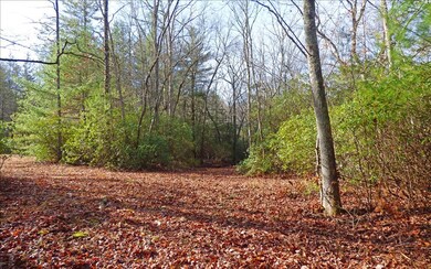 LOT 5 Doublehead Gap Rd, Blue Ridge, GA 30513 - photo 4