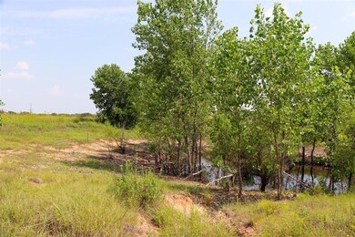 732 Silver Creek Rd, Azle, TX 76020 - photo 7