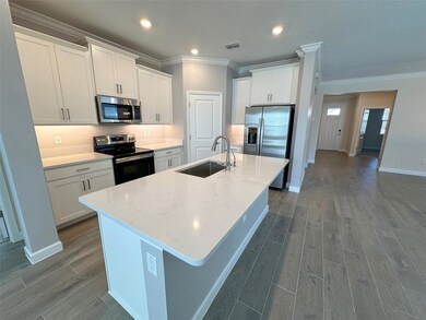 17216 Mango Shay Ct, Land O' Lakes, FL 34638 - photo 4