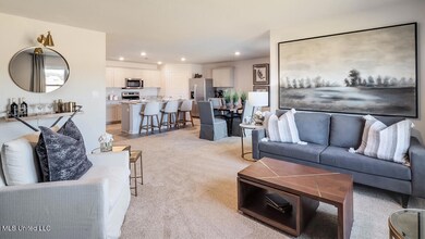 13_TN_Memphis_Willow-Point_Open-View
