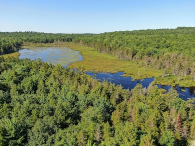 DJI_0930