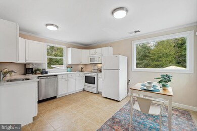 7003 Quander Rd, Alexandria, VA 22307 - photo 7